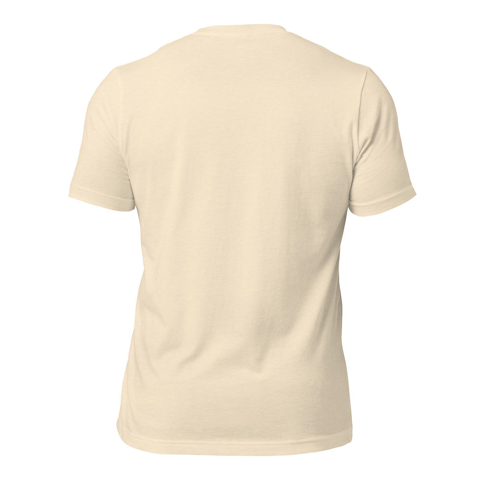 Thumbnail: John Homick "Fake Bird" IronMan Classics Official T-shirt