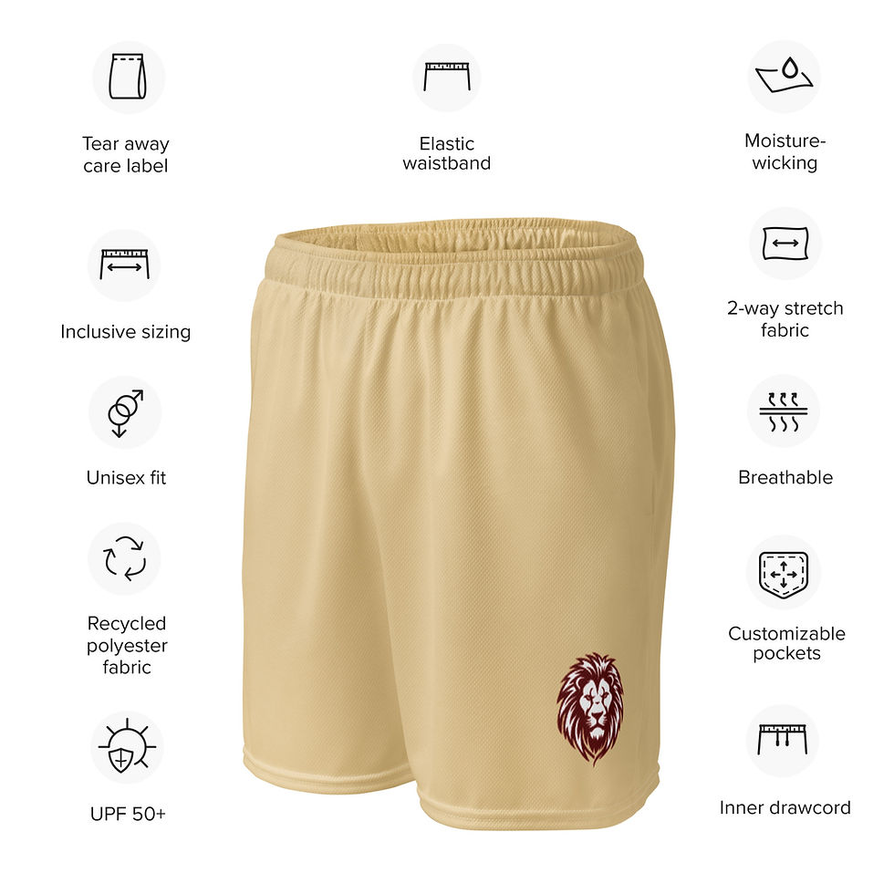 Thumbnail: 2024 NB Varsity Unisex mesh shorts