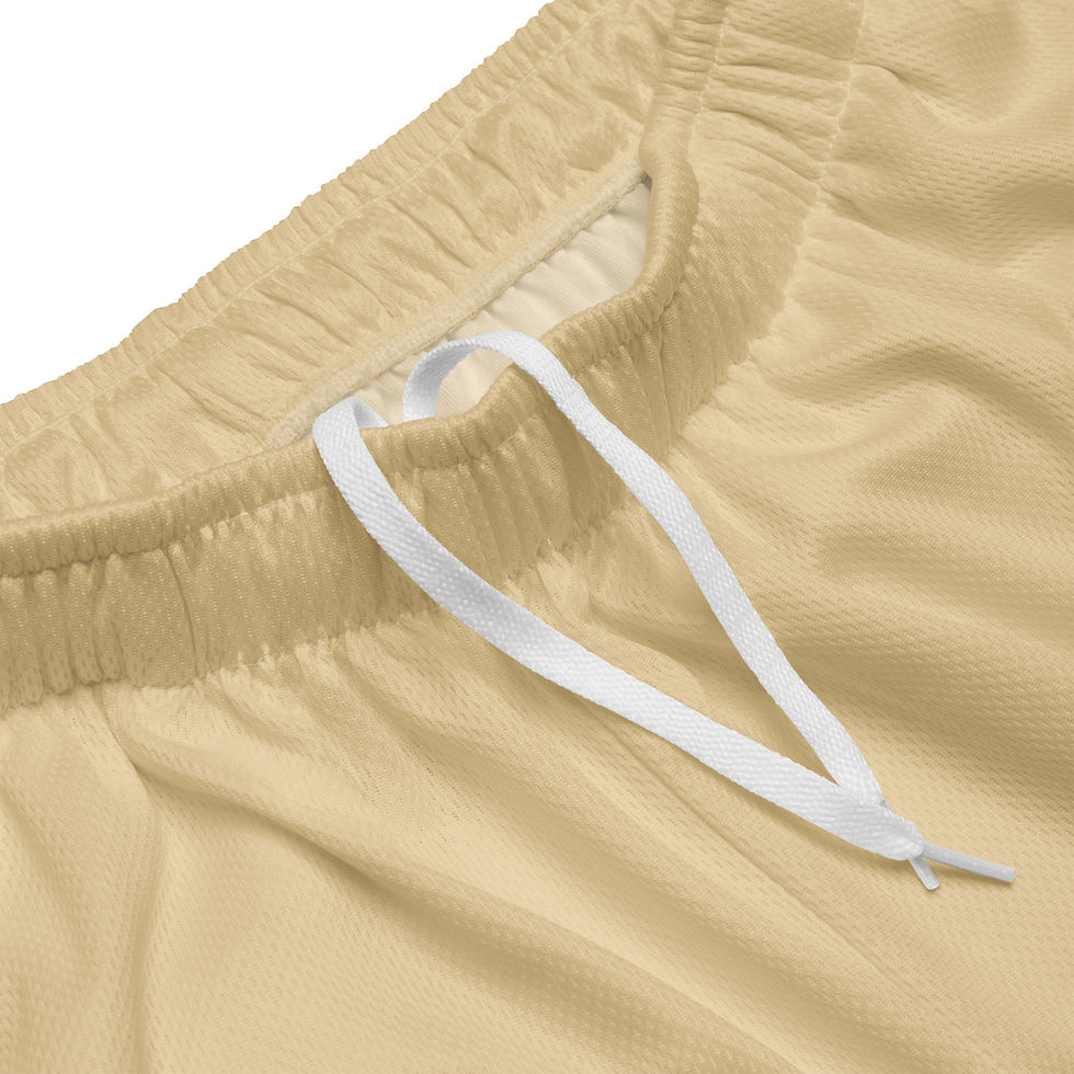 Thumbnail: 2024 NB Varsity Unisex mesh shorts