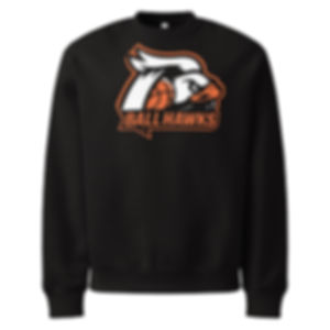 Ball Hawks (Jupiter, FL) Oversized Heavyweight Premium Sweatshirt
