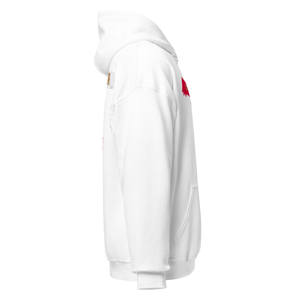 Thumbnail: CJ2K vs World Game Unisex Player Hoodie CJ2K Team Icey White | WEHNER #1