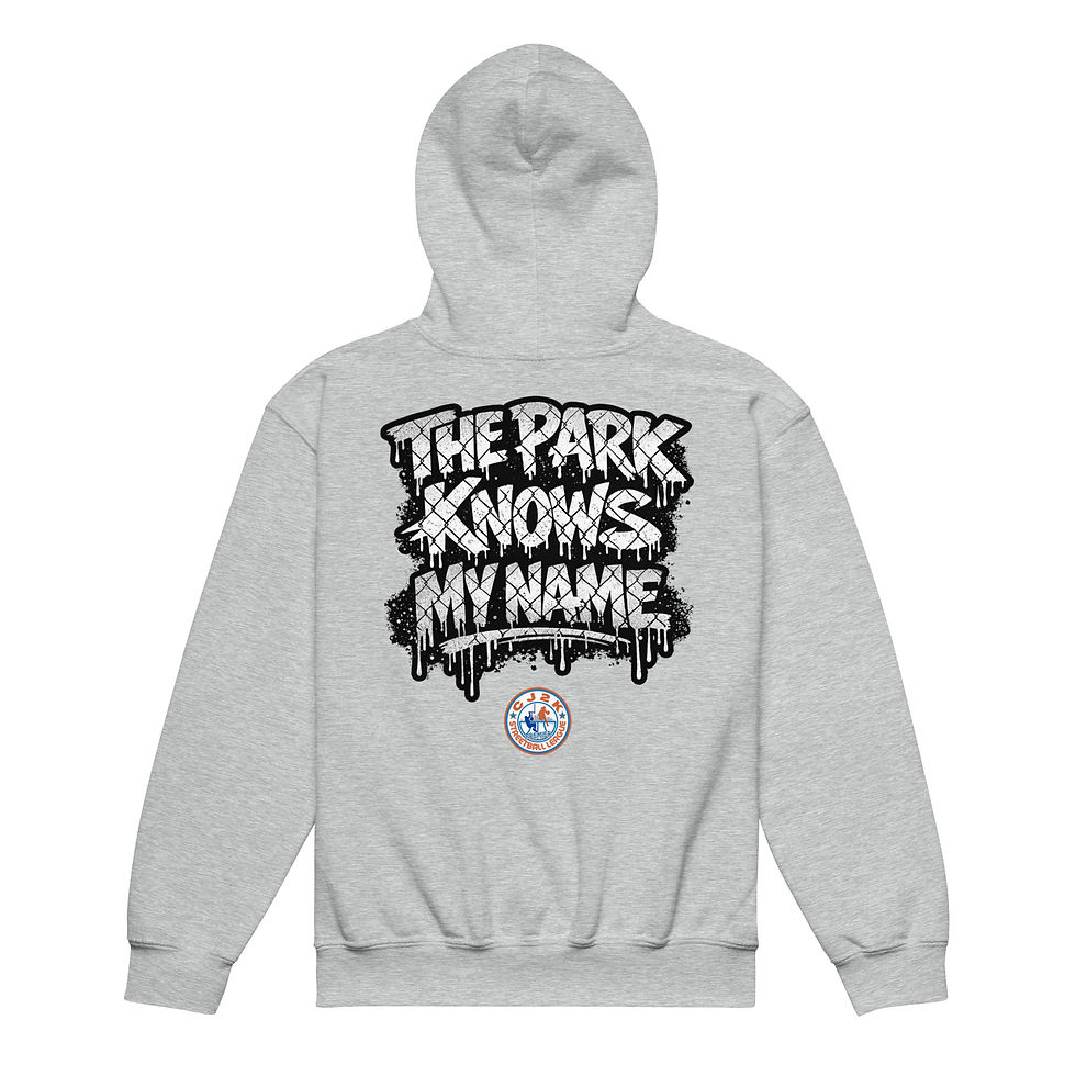 Thumbnail: "WE GOT NEXT" CJ2K 2026 Youth Players Edition Unisex Heavy Blend Hoodie DTG