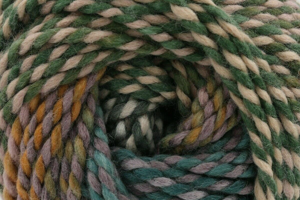 cygnet folly garden 100 gm super chunky