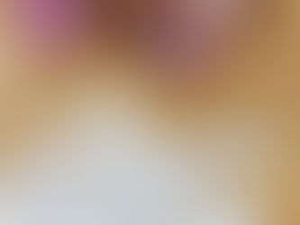 子どものための英文法