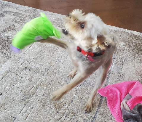 Screen Shot 2022-01-20 at 9.35.05 AM.png