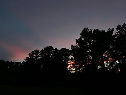 IMG_1251.jpeg