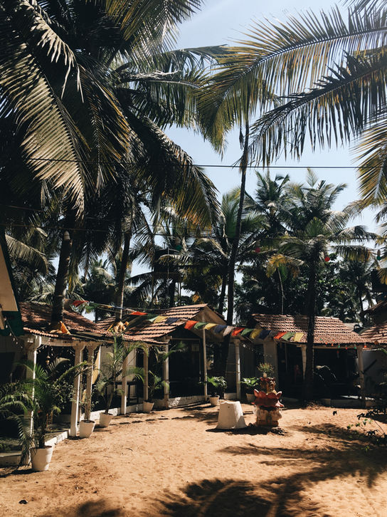 MVXN6172.JPG
