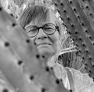 Anne Seibel