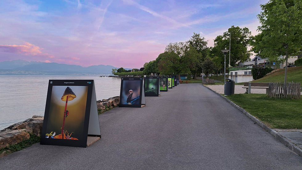 Exposition collective de photographies en plein air
