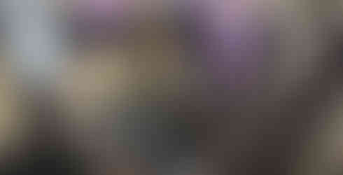 Sparrow team interacting with students