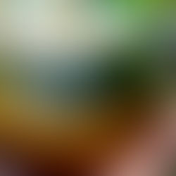 Fitting a garden into my busy life