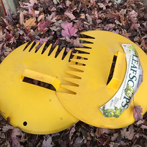 Skip the peat moss and the coir - make leaf mold!