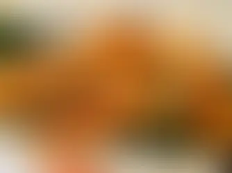 August Specials at the Best Filipino Restaurant in Toronto