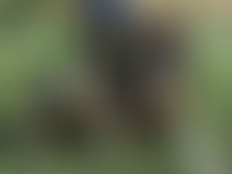 GRAN FIN DE SEMANA ‼️