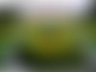 Fazenda do Secretário, Vassouras - RJ