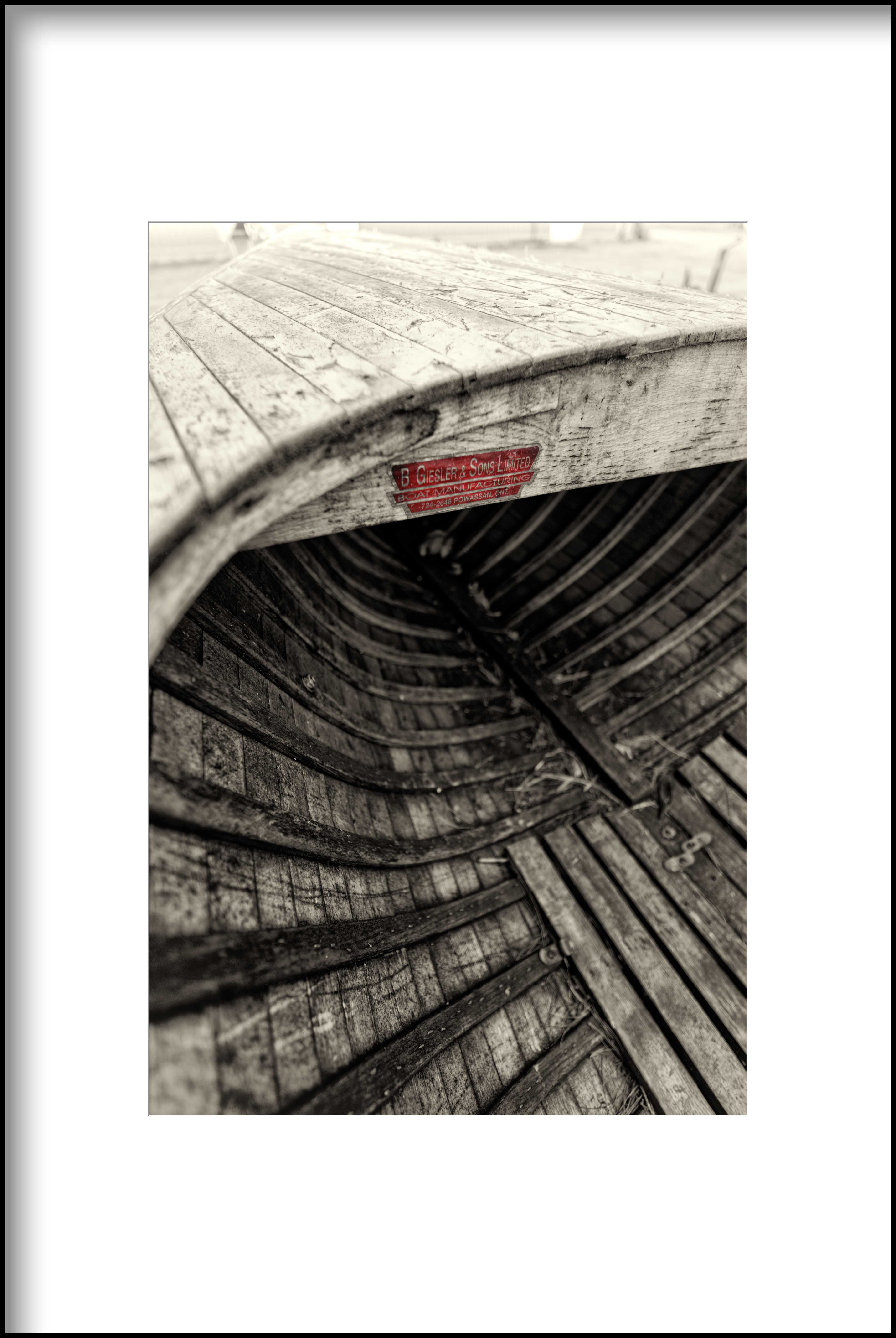 "Cedar Strip Skeleton"