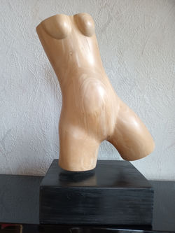 Frauentorso, Korkenzieherweide, 2019