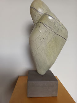 Vogelgefieder, 12/2022