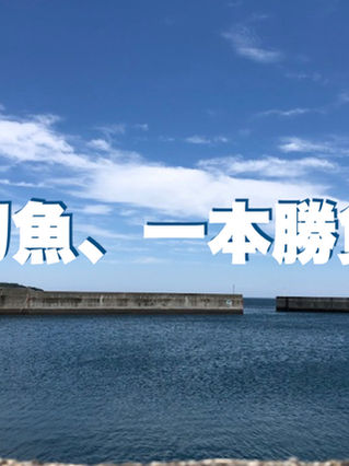 太刀魚、一本勝負!