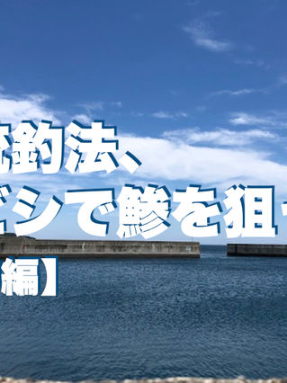 伝統釣法、手ビシで鯵を狙う!【実釣編】