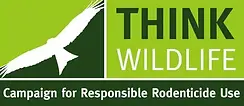 think.webp