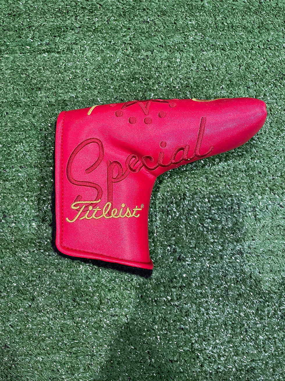 Thumbnail: Scotty Cameron Special Select Blade Putter Headcover