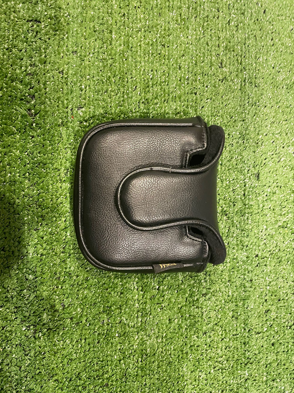 Thumbnail: TaylorMade Ghost Spider Si Prototype Putter