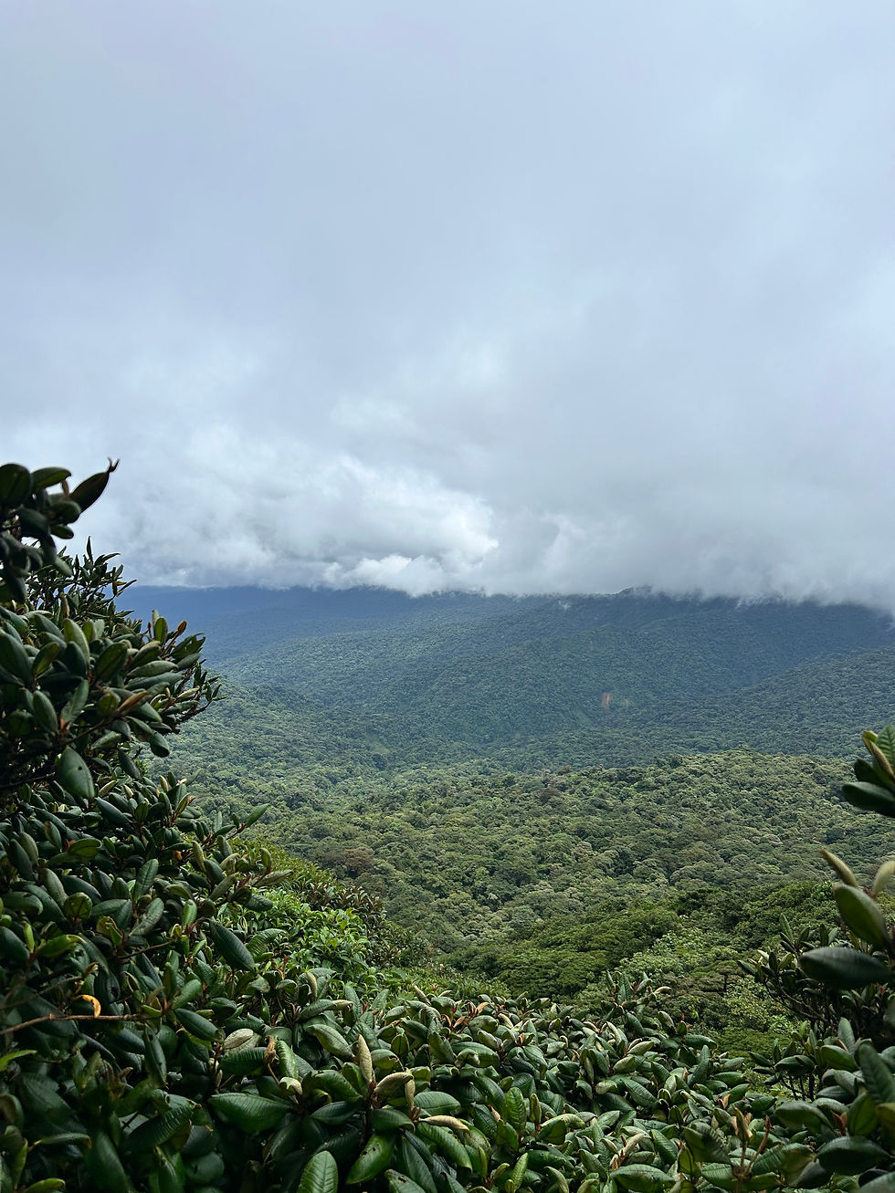 What is Sustainability?