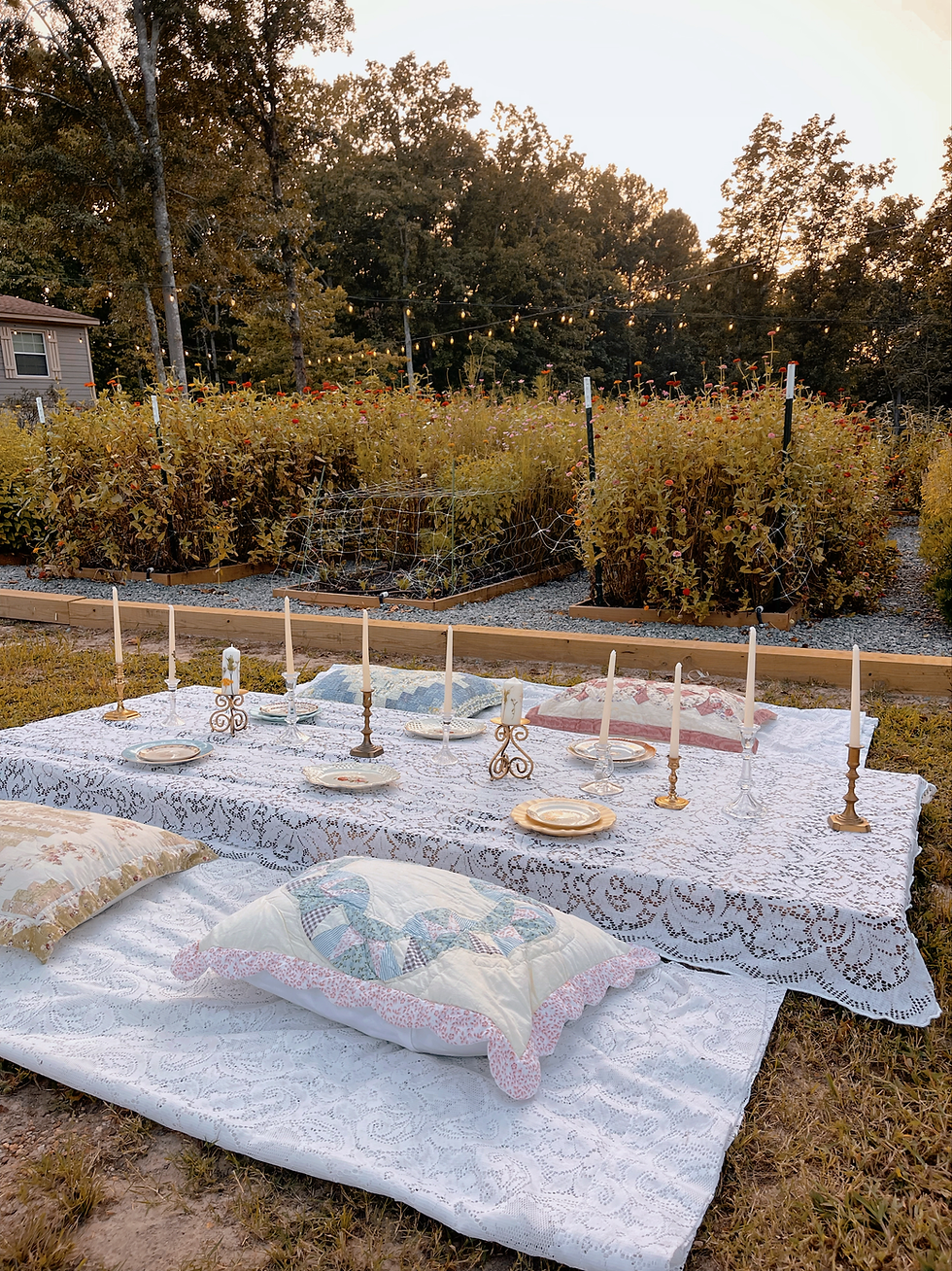 Picnic