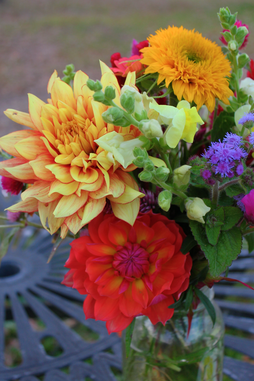 Free Seed Harvest Class 