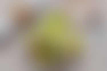 Salade van geroosterde Venkel met botersla, linzen & kikkererwten 