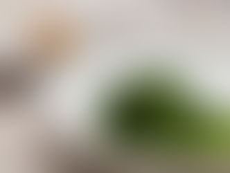 Gegrilde bimi met camelina zaadjes