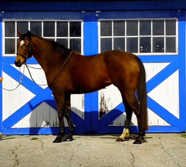 Thumbnail: Reversed On Appeal (KY)-Sold
