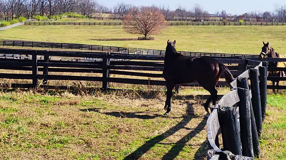 Thumbnail: Zen Journey-Riding video
