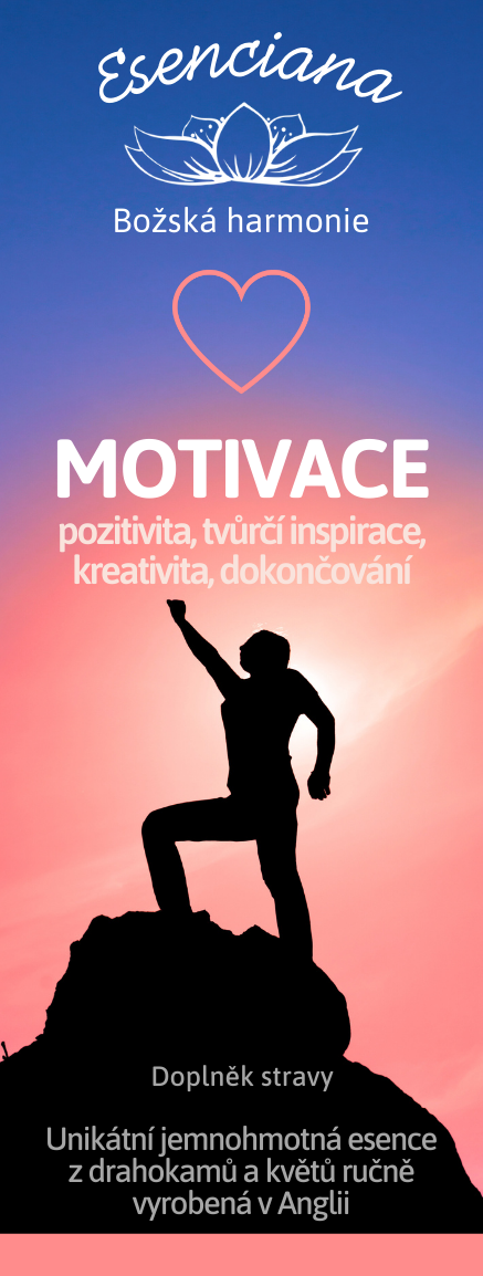 Motivace