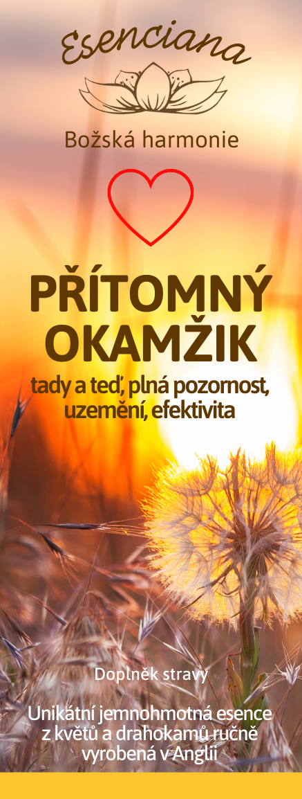 Přítomný okamžik