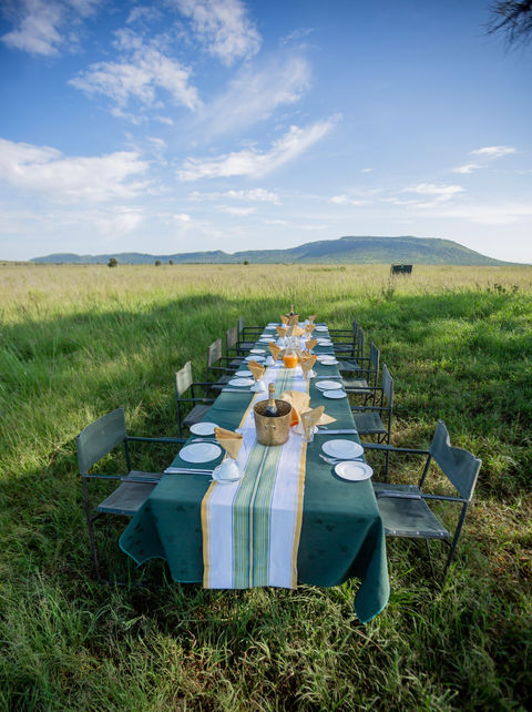 Experience the Ultimate Bush BBQ Picnic in the Untamed Wilderness of South Africa!