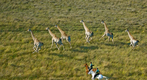 Safari Horseback Riding in the Heart of South Africa!