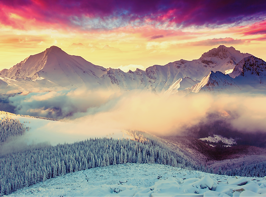 SWITZERLAND (LIC, ED).png