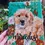 Thumbnail: 8x10 acrylic on canvas 
