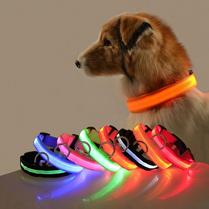 Dog wearing an orange LED night safety collar with variants