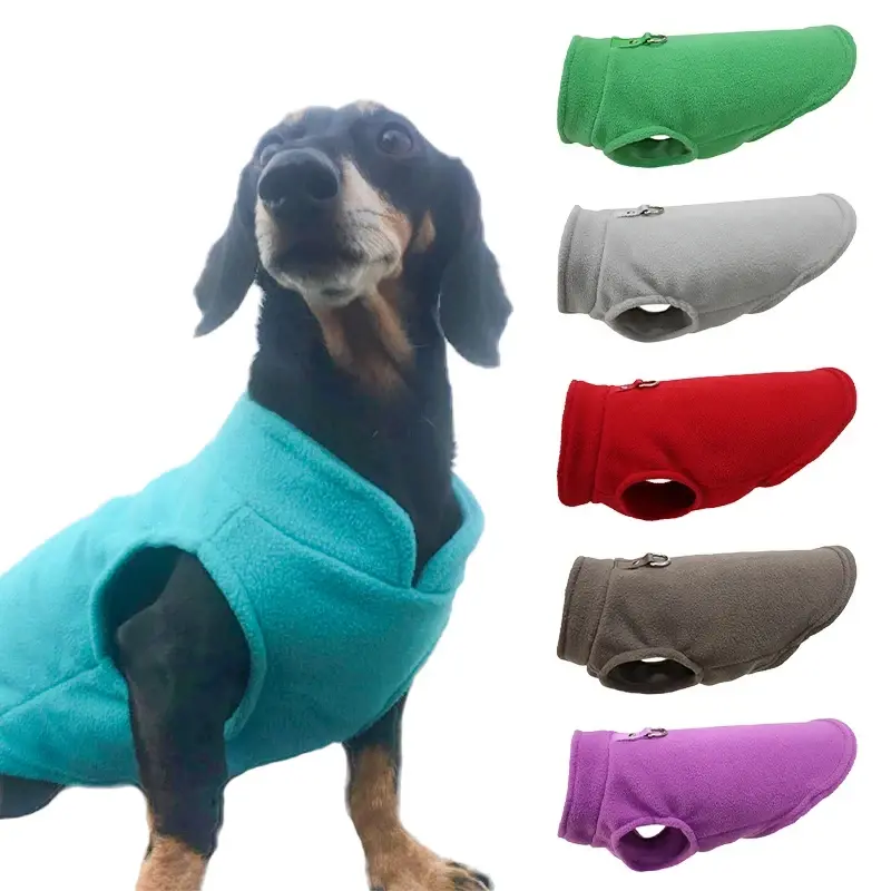 Dachshund in blue fleece vest with color options