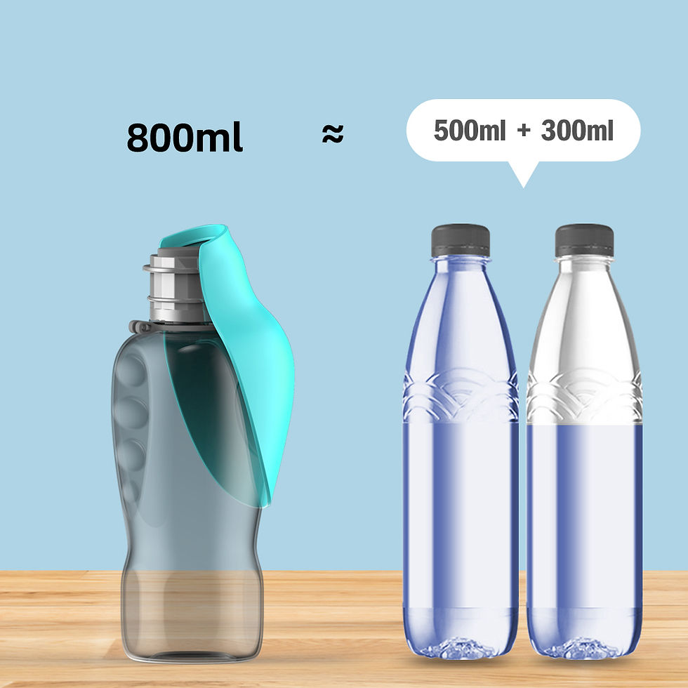 Thumbnail: 800ml pet water bottle equivalent to two standard bottles