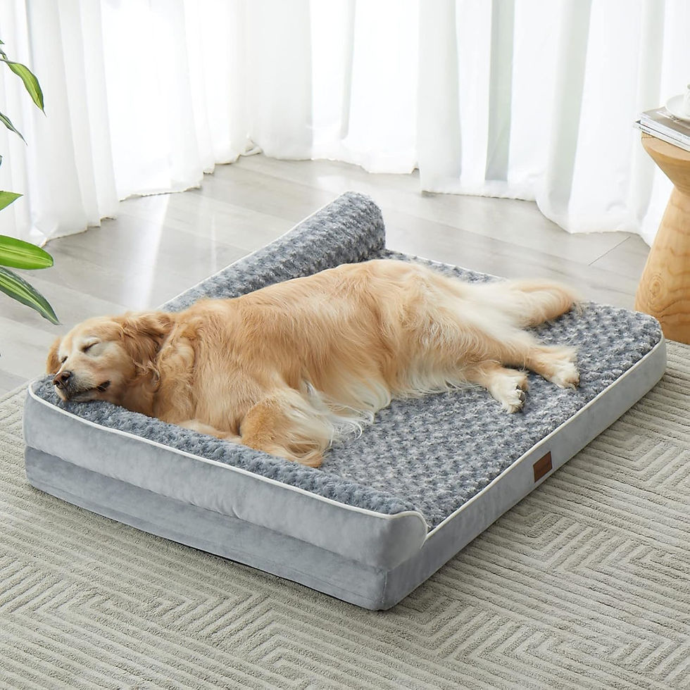Thumbnail: Orthopedic Dog Bed for Large Dogs – Waterproof Sofa-Style Bed with Removable W