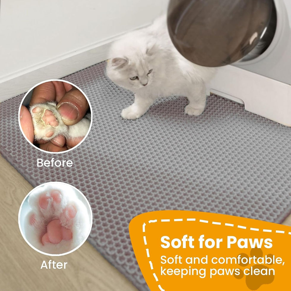White cat on a double layer non-slip pet litter mat.