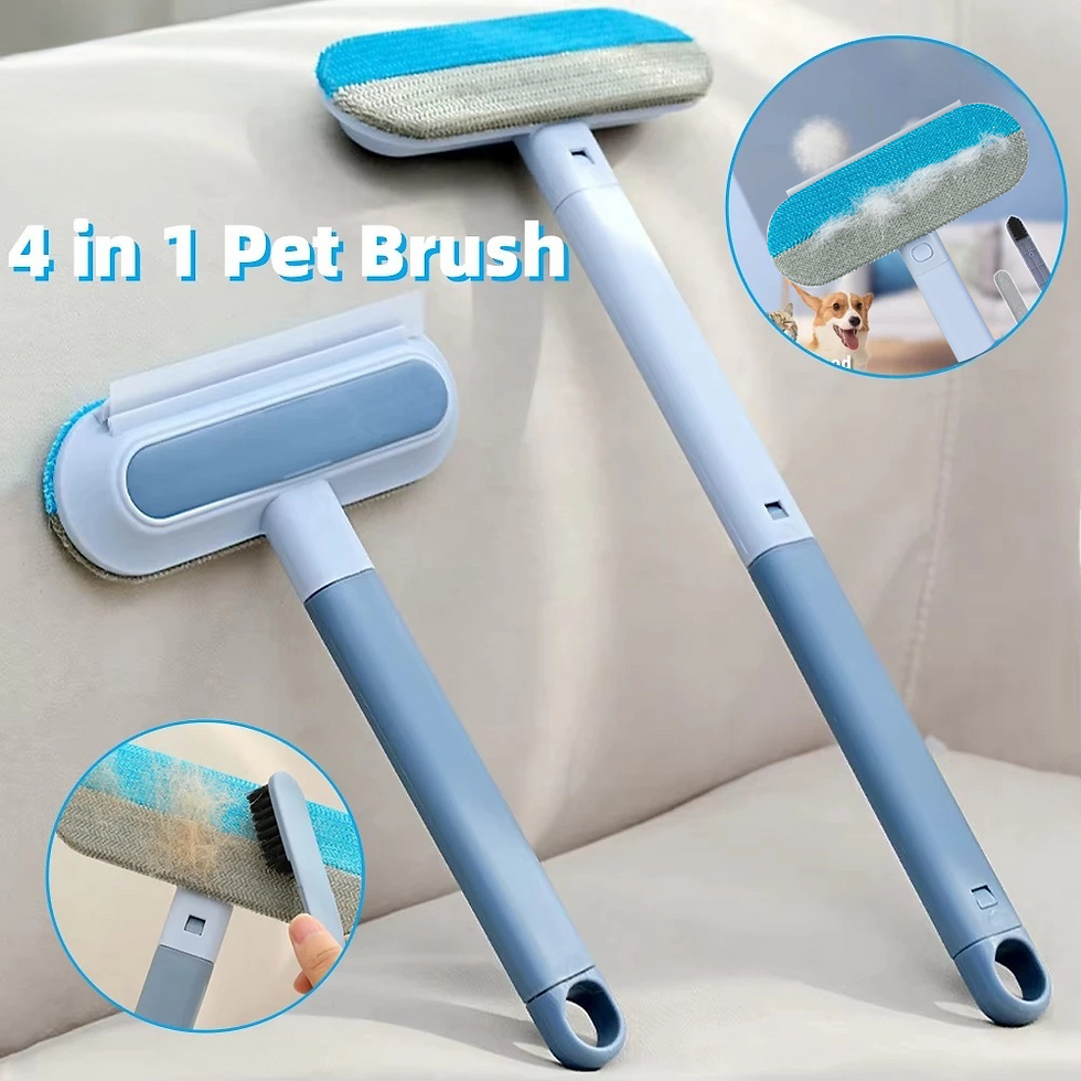 4-in-1 pet hair removal tool with two brush sizes for couch