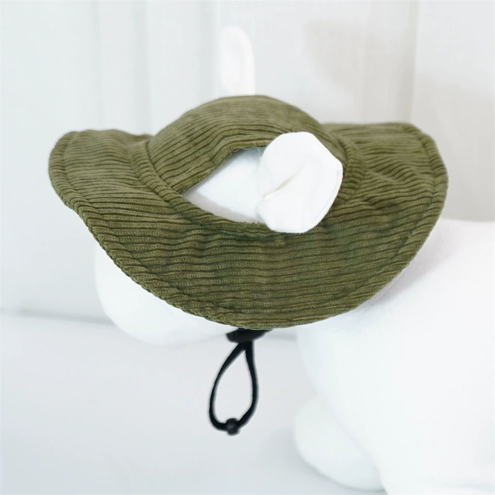Green corduroy pet sun hat with adjustable strap.