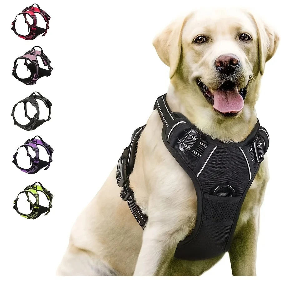 Yellow Labrador wearing a black dog vest harness