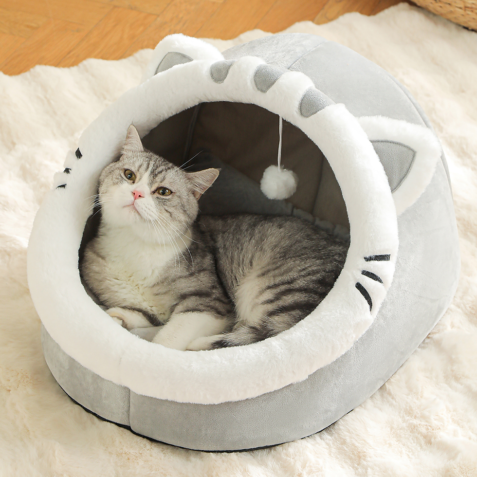 Thumbnail: Tabby cat in a soft grey cat shaped bed house