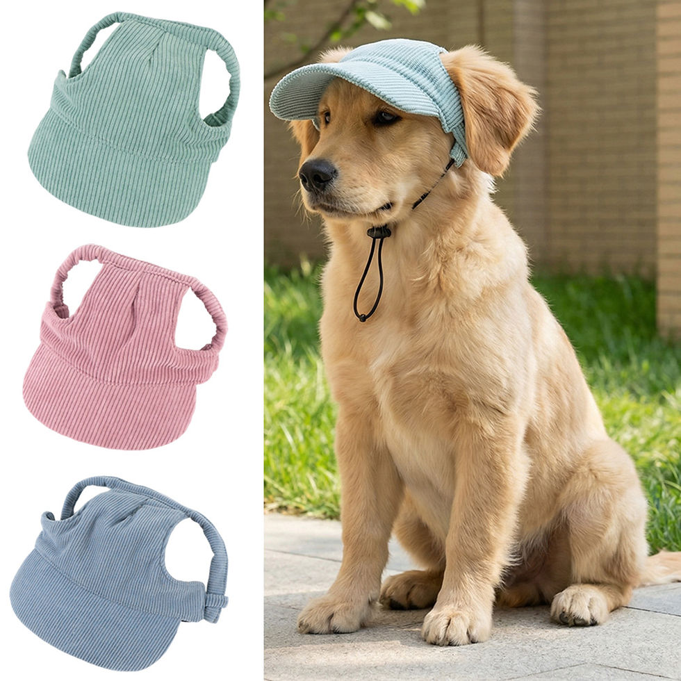 Golden Retriever wearing a corduroy pet sun hat with chin strap